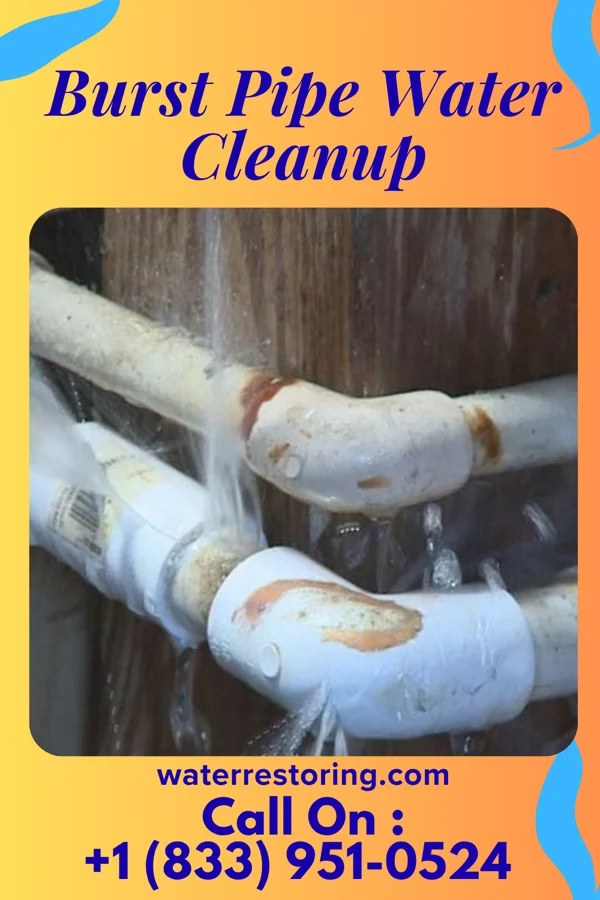 Burst Pipe Water Cleanup in Norwich, NY