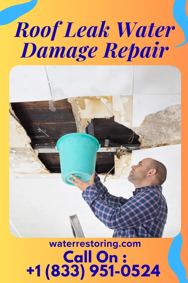 Roof Leak Water Damage Repair in Norwich, NY