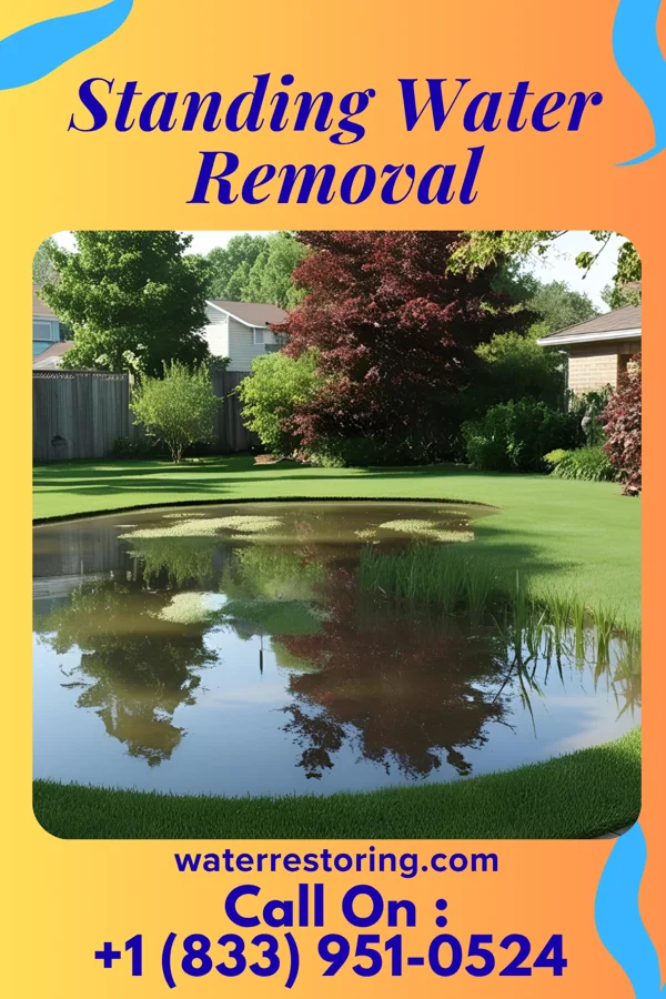 Standing Water Removal in Norwich, NY